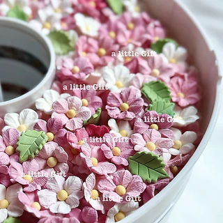 ดอกไม้แสนสวย🌸กัมเพส/น้ำตาลแต่งเค้ก (ทานได้ค่ะ)