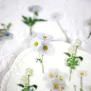 Journamm 40 ชิ้น/แพ็ค PET ดอกไม้สติกเกอร์พืช Daisy Decor เครื่องเขียนสําหรับ Junk Journal DIY Scrapbooking ป้ายสติกเกอร์