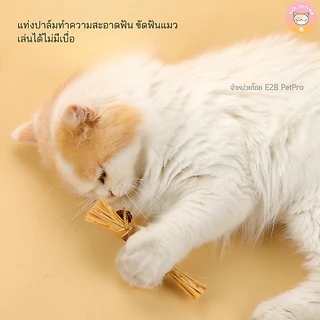 แท่งปาล์มทำความสะอาดฟัน ขัดฟันแมว ของเล่นแมว B057