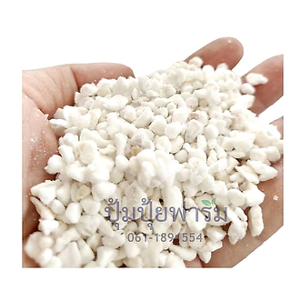 5฿ !!โปรลับ เพอร์ไลท์ Perlite ลิตรละ 5 บาท(90-120กรัม) เมื่อสั่ง 20 ลิตรขึ้นไป (บรรจุรวมนะคะไม่แยก)