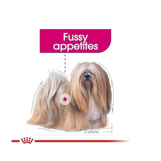 [ ยกกล่อง 12 ซอง] Royal canin Exigent pouch 85 g./ ซอง แบบเนื้อบดละเอียด สุนัขโต [ทุกขนาด] ที่ทานยาก ช่างเลือกอาหาร