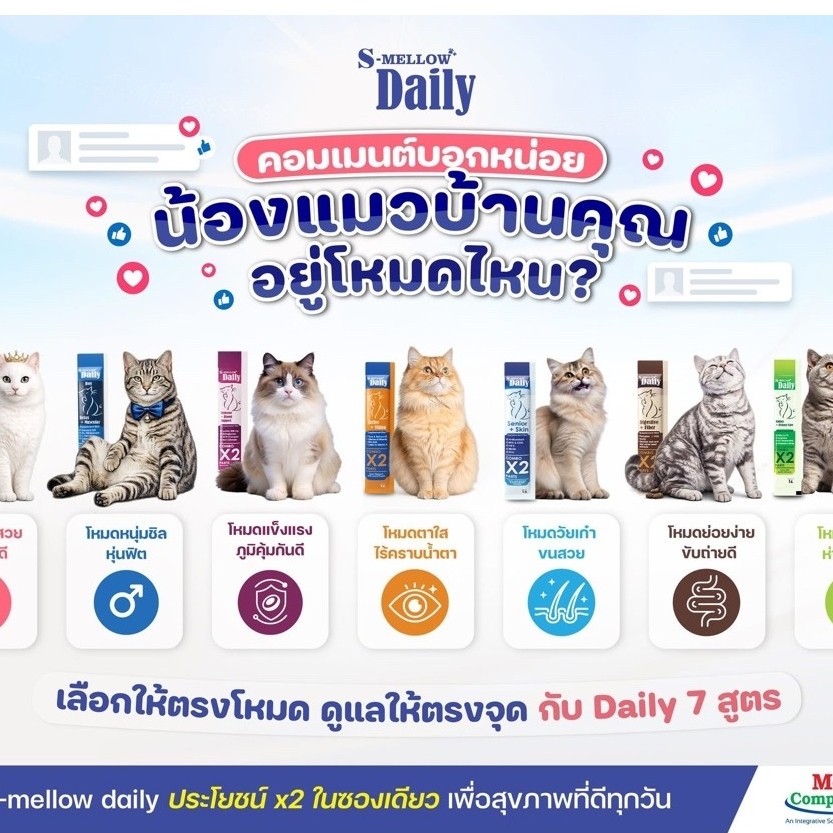 (มาใหม่ ยกกล่อง 24 ซอง) s-mellow daily ขนมแมวเลียและขนมหมาเลีย