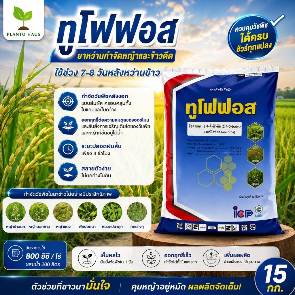 ทูโฟฟอส ICP 2,4 ดี บิวทิล กำจัด หญ้า ข้าวดีด ผักปอด 15 กิโลกรัม