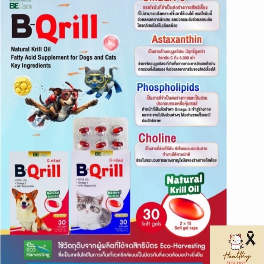 [30 เม็ด] B-Qrill วิตามินบำรุงข้อสำหรับสุนัขและแมว