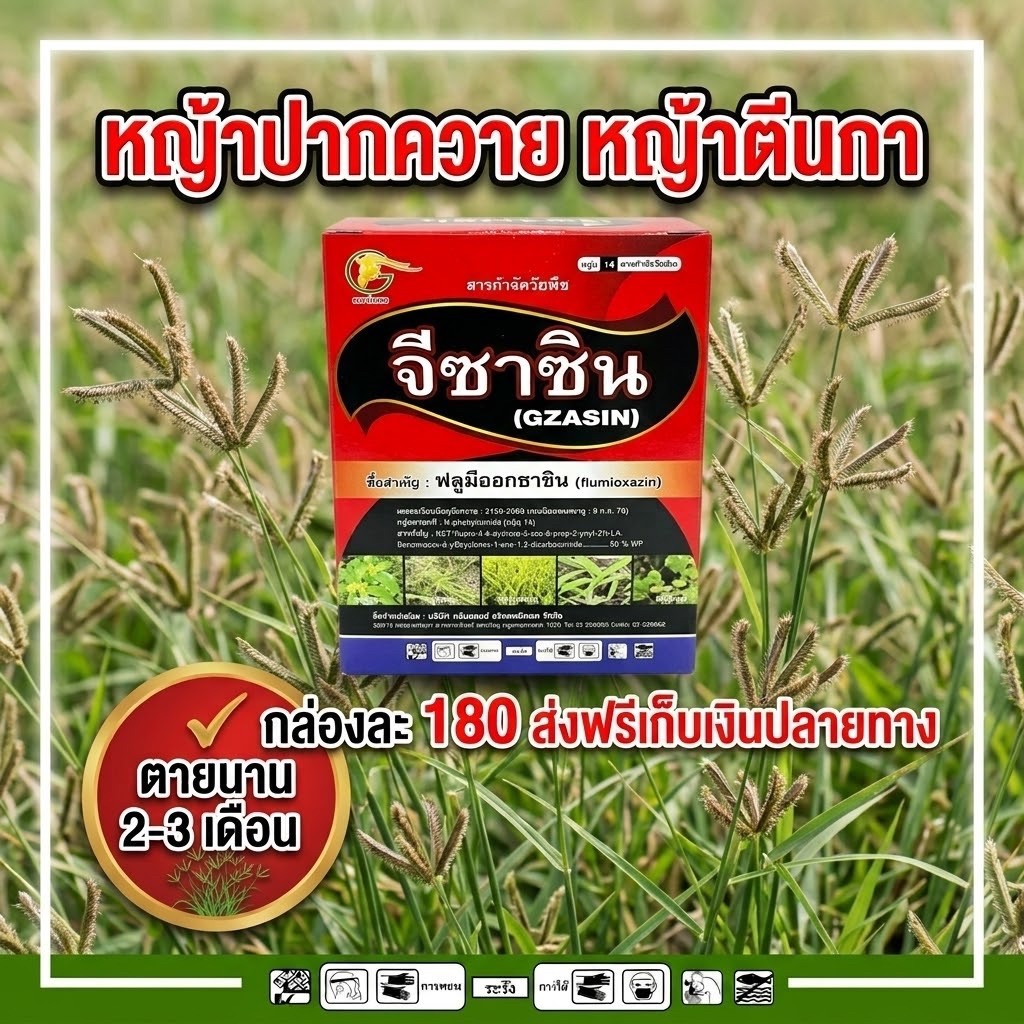 5 ไร่ ฟลูมิออกซาซิน จีซาซิน คุมฆ่าวัชพืชก่อนงอก ผสม กับ กลูโฟซิเนท 100 กรัม