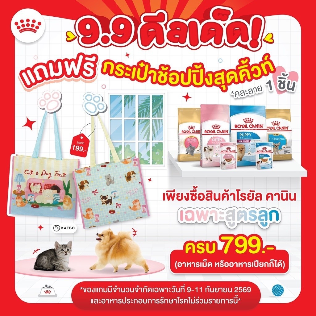 [สินค้าพรีเมียม ฟรี] กระเป๋าช็อปปิ้ง Royal Canin มูลค่า 199 บาท