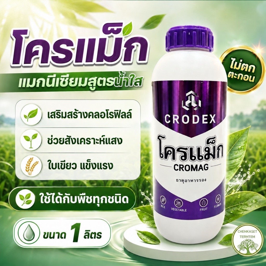 โครแม็ก แมกนีเซี่ยม6% ช่วยให้ใบพืชเขียวสมบูรณ์ ใบอ่อนพัฒนาเป็นใบแก่เร็วขึ้น ผลไม้สุกแก่สม่ำเสมอ