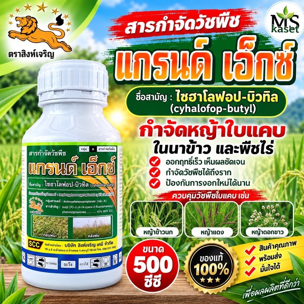 แกรนด์ เอ็กซ์ ชื่อสามัญ:ไซฮาโลฟอบ-บิวทิล ขนาด 500cc กำจัดวัชพืชประเภทใบแคบ เช่น หญ้าดอกขาว หญ้าข้าวนก และหญ้านกสีชมพู
