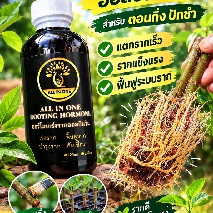 น้ำยาเร่งราก เร่งรากเทพ