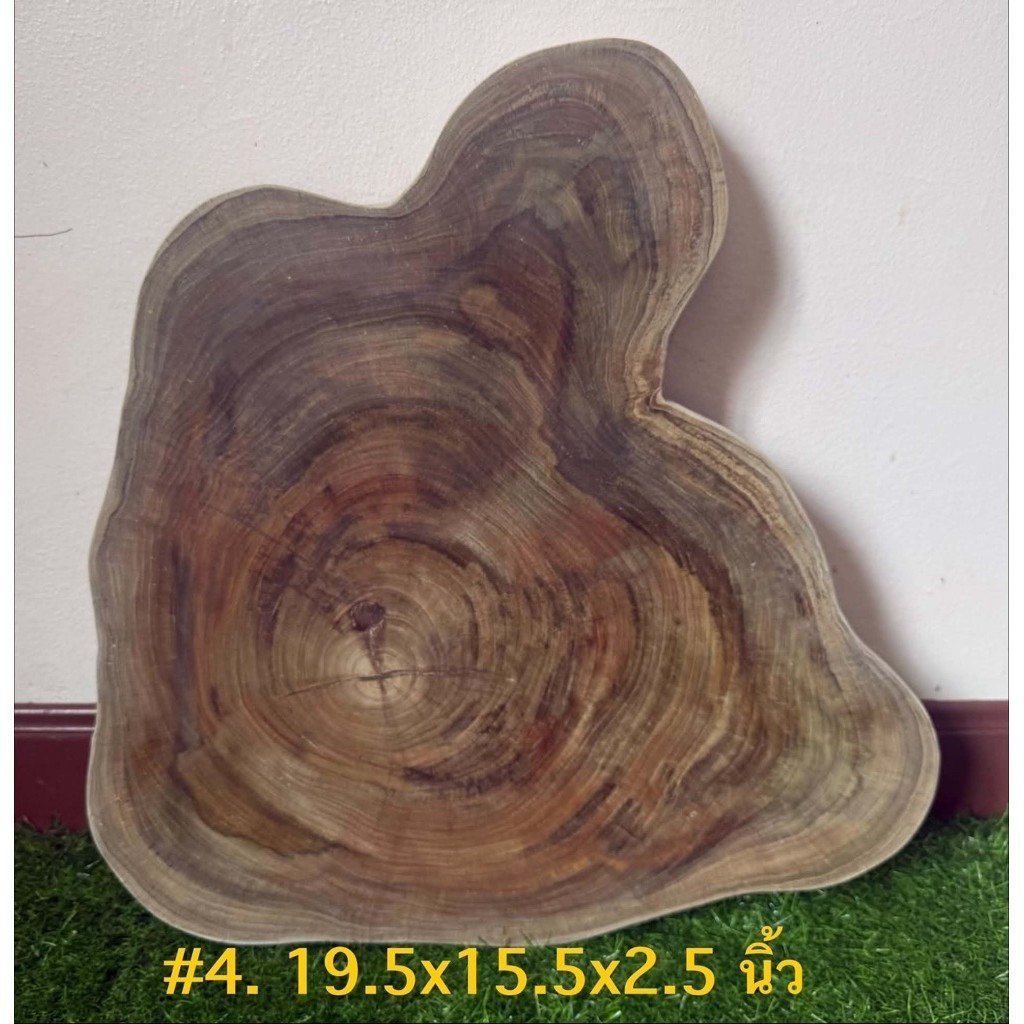 เขียงไม้ตะพรุนหินขนาดใหญ่ ( 19.5x15.5x2.5 นิ้ว) **แช่น้ำเกลือแล้ว**
