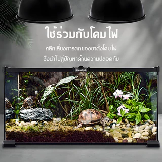 กล่องเพาะพันธุ์ แก้ว การจัดสวนกล่องสัตว์เลี้ยง เต่า งู จิ้งจก แมงมุม สัตว์เลี้ยงสัตว์เลื้อยคลาน พาโนรามาและโปร่งใส