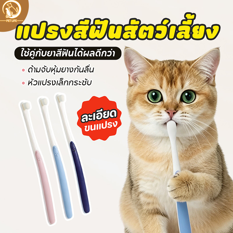 PET LIFE แปรงสีฟันสำหรับสัตว์เลี้ยง ขนแปรงนิ่ม ขจัดคราบฟันและกลิ่นปากได้อย่างหมดจด มีให้เลือก 3 สี