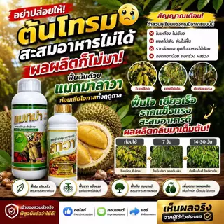 ปุ๋ยน้ำ ลาวา 1 ลิตร เข้มข้น เร่งโต เร่งผลผลิต สำหรับสวนมืออาชีพ ไม้ผลและทุเรียน พืช อ้อย