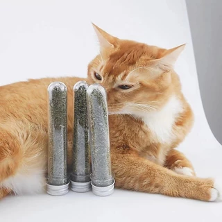 กัญชาแมว Catnip 45ml คลายเครียดให้แมว บบผงขนาด เป็นหลอด แคทนิป
