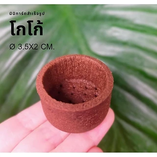 🔥ใหม่ถ้วยทาร์ตจิ๋ว 3.5*2cm.ถ้วยทาร์ตสำเร็จรูป ถ้วยทาร์ตพร้อมใช้