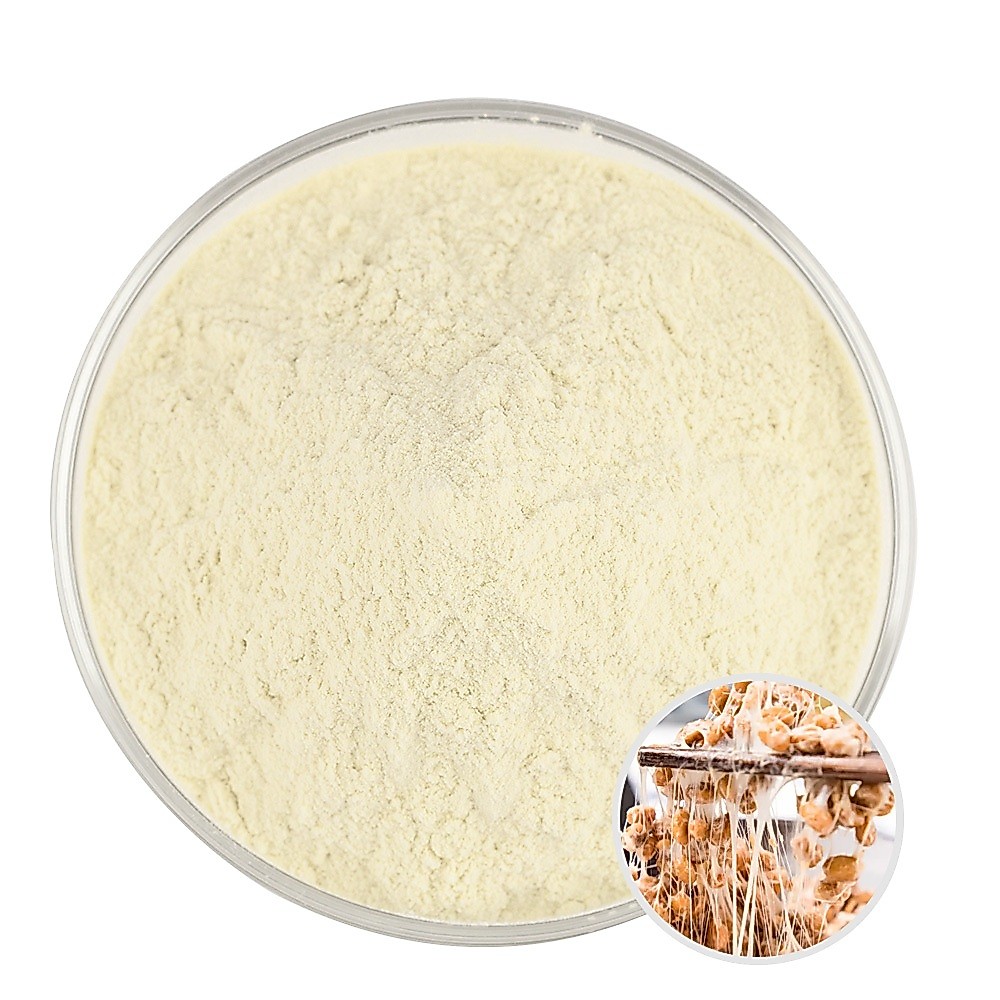 ขายส่งคุณภาพสูง Nattokinase Powder Pure Nattokinase 2000 FU/G Extract Nattokinase