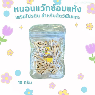 หนอนแว๊กซ์อบแห้ง (ฟรีซดราย) หรือหนอนน้ำผึ้งฟรีซดราย สำหรับชูการ์ไกรเดอร์ แฮมเตอร์ กระรอก เม่นแคระ ดอร์เมาส์