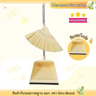 ชุดไม้กวาดพลาสติก คู่โกยขยะ (รุ่น M-02) Dino brand ไม้กวาดสีพาสเทล ขนแน่น ไม่หลุดง่าย
