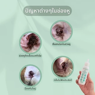น้ำยาทำความสะอาดหูและฆ่าเชื้อสำหรับสุนัขและแมว Kitty and Doggy