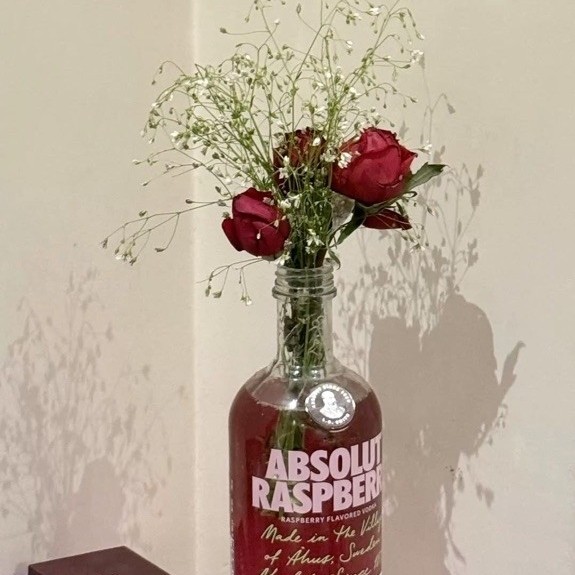 ขวดแก้วเปล่า absolut vodka