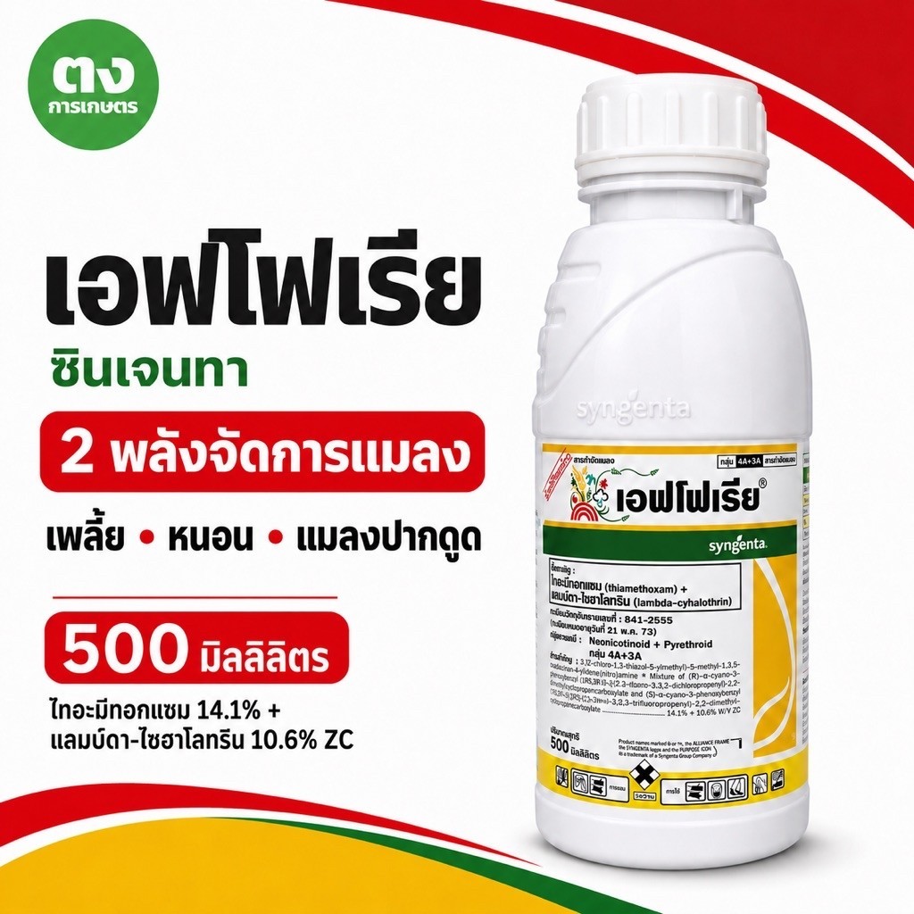 เอฟโฟเรีย EFORIA ซินเจนทา 500 ซีซี ไทอะมีทอกแซม 14.1% + แลมบ์ดา-ไซฮาโลทริน 10.6% ZC สารกำจัดแมลง เพลี้ย หนอน