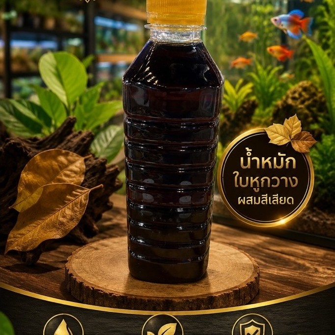 น้ำหมักปลากัด น้ำหมักใบหูกวางผสมสีเสียด