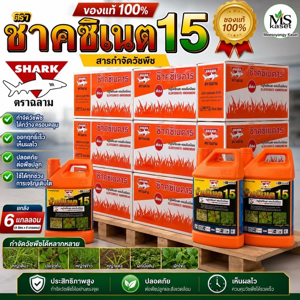 ช๊าคซิเนต(น้ำสีฟ้า)#กลูโฟซิเนต แอมโมเนียม 4 ลิตร ***(ขนาดบรรจุ 6 แกลลอน/ลัง*** #ยากำจัดหญ้า