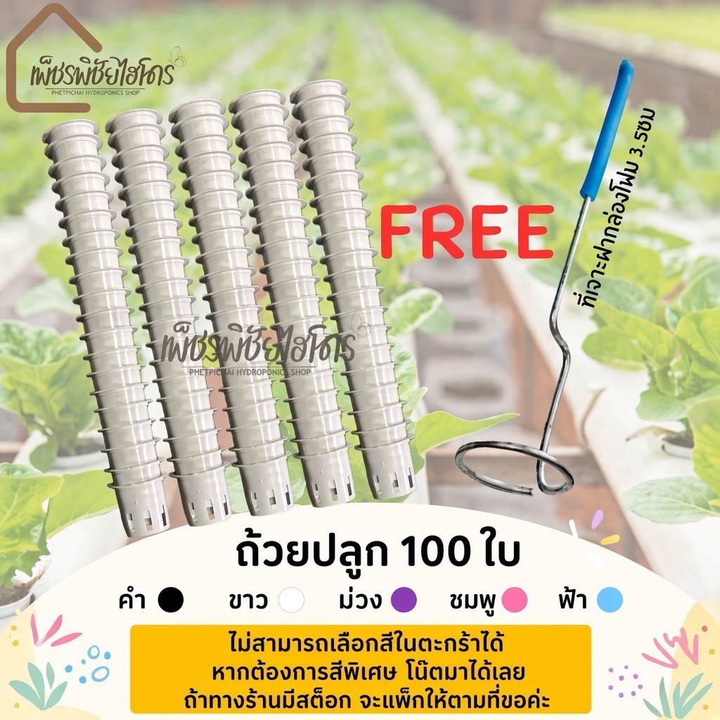 ถ้วยปลูกขาวไฮโดรโปนิกส์พร้อมที่เจาะ1 ฟองน้ำ1 ที่คีบ1