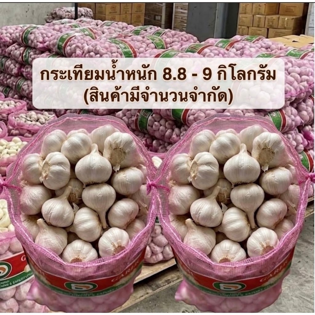 กระเทียมจีนหัวใหญ่ ขนาด5.5-6CM ยกกระสอบ น้ำหนัก8.8-9 Kg(มีจำกัด)