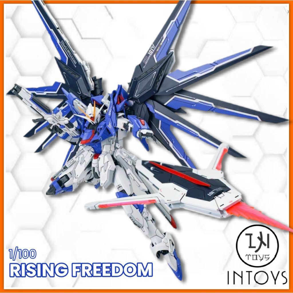 ShenMa Model 1/100 RISING FREEDOM GK Style ( Model Plastic Kits )
