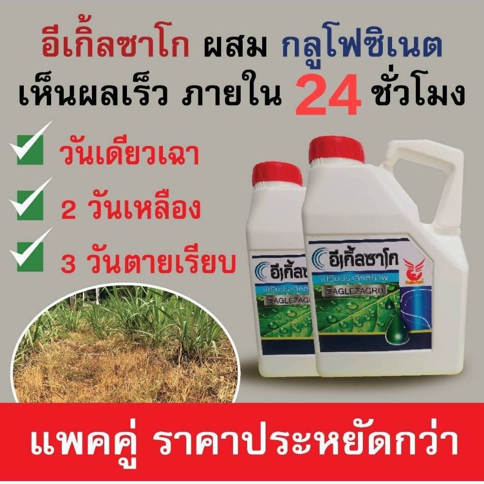 อีเกิ้ลซาโก 4 ลิตร ( 2 แกลลอน) สำหรับเสริมฤทธิ์ กลูโฟซิเนต