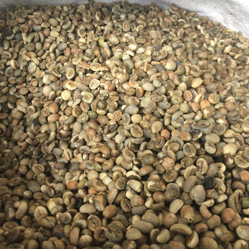 เมล็ดกาแฟสาร โรบัสต้า เกรดรวม