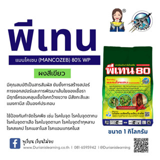 พีเทน80  แมนโคเซฟ ยาเชื้อรา โรคกาบใบเเห้ง โรคใบจุดสีน้ำตาล โรคราสนิม เนื้อดีละลายง่าย สูตรเย็น ละลายง่าย ขนาด 1000 กรัม