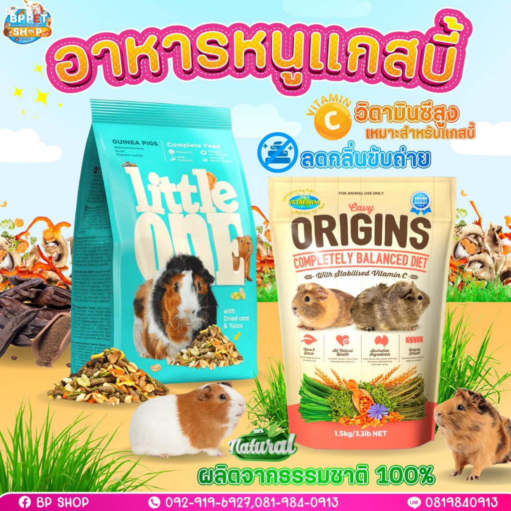 (IPshop) อาหารหนูแกสบี้ พรีเมียม อาหารหนูเควี่ Little one อาหารแกสบี้ อาหารสัตว์เล็ก