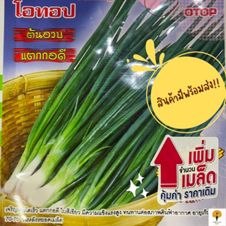 เมล็ด หอมแบ่ง โอทอป ( Bunching Onion Seed )