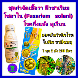 ชุด กำจัดเชื้อรา ฟิวซาเรียม โซลาไน(Fusarium solani)โรคกิ่งแห้งทุเรียน ไดโนโฟกัส คอปเปอร์น้ำ 1ลิตร+ลากูเร่ 500cc ราสีชมพู