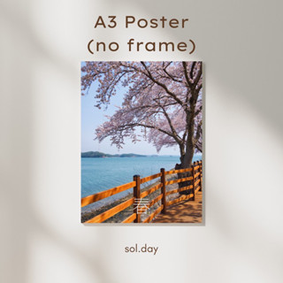 [A3 Poster] โปสเตอร์แต่งห้อง ขนาด A3 ลายซากุระ Spring Sakura