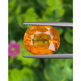 พลอย บุษราคัม yellow sapphire 6.48 กะรัต (Cts.)