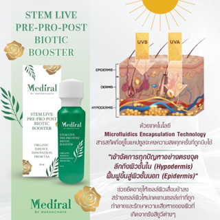 Mediral Stemlive ครีมสเต็มเซลล์ สลายฝ้า กระ หน้าขาวเนียนใสภายใน 1 สัปดาห์