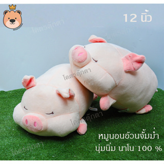 ตุ๊กตา หมู ขี้เซา หมูอ้วนจั้มม่ำ  นุ่มนิ่ม 12นิ้ว ผ้า Super Soft นุ่มนิ่ม ใยไมโครแท้ 100% ( ราคา/ตัว) TT