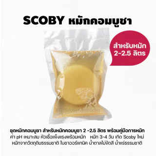 ผ้าคลุมโหลหมักคอมบูชา ผ้าคอตตอน เย็บเก็บขอบ ขนาด 25x25 เซนติเมตร