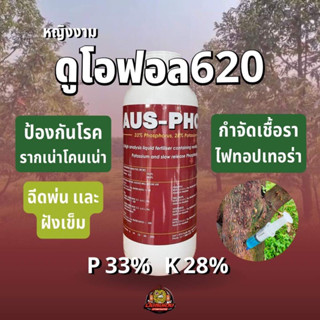 ดูโอฟอส620 ฟอสไฟต์60% ใช้ฝังเข็ม ตราหญิงงาม สร้างภูมิคุ้มกันโรครากเน่าโคนเน่า