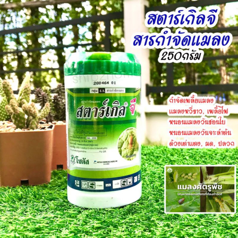 สตาร์เกิลจี(ไดโนทีฟูแรน) ขนาด 250กรัม กำจัดเพลี้ย หนอน มด แมลงศัตรูพืช