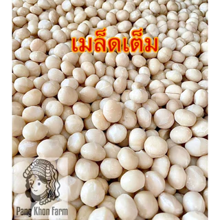 แมคคาเดเมีย อบใหม่ เมล็ดเต็ม มะคาเดเมีย macadamia