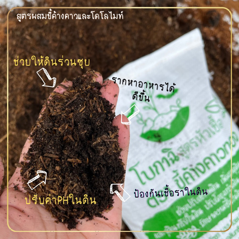 สารปรับปรุงดิน โบกาฉิ ตราขี้ค้างคาวทอง ปรับสภาพดิน ช่วยให้ดินร่วนซุย