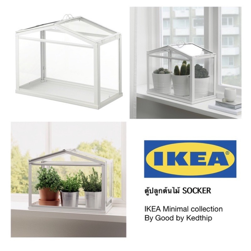 🔥🔥ตู้ปลูก🪴ต้นไม้🔥🔥อิเกีย SOCKER IKEA