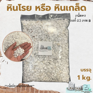 🪴 หินเกล็ด สีขาว เกรด B  เบอร์ 3.5 บรรจุ  1 kg. หินโรยกระถาง 🪴🪴 หินโรยหน้ากระถาง หินตกแต่งสวน หินแคดตัส 🪴