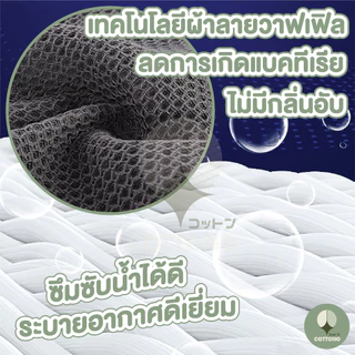 【COTTONO コットンノ】CTN051 ผ้าเช็ดจาน ผ้าขีริ้ว ทำความสะอาด ลายรังผึ้ง ซับน้ำได้ดี สไตล์ญี่ปุ่น