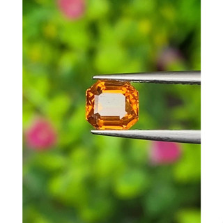 พลอย บุษราคัม Yellow Sapphire 1.03 กะรัต (Cts.)