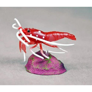 (มีของพร้อมส่ง) Gashapon กาชาปองไฟ Toba Aquarium Japan Exclusive Blood Red Fire Shrimp Kaiyodo โมเดลสัตว์